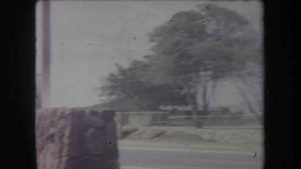 1969 Hawaii roadside view with trees, grass, pavement, and a stone wall, framed by dark window edges.