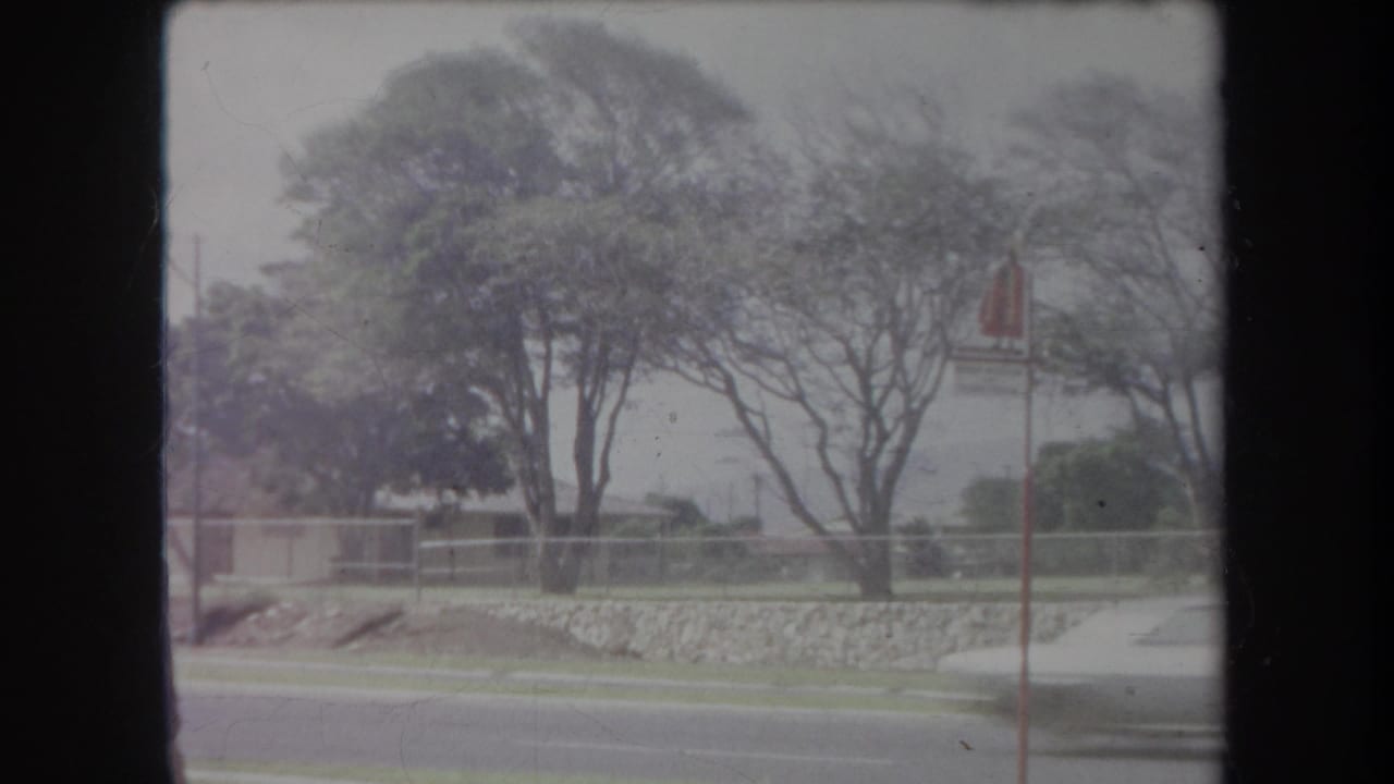 1969 Hawaii 8mm frame from a moving vehicle showing a roadside park, trees, low stone wall, red signpost, and passing car blur.