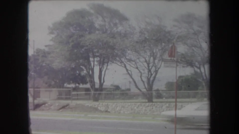1969 Hawaii 8mm frame from a moving vehicle showing a roadside park, trees, low stone wall, red signpost, and passing car blur.