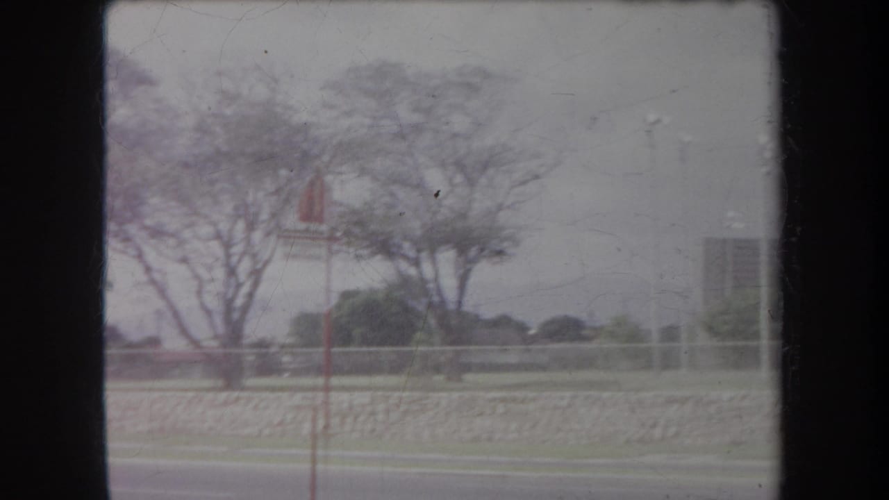 Parkside road with trees, low stone wall, red signpost, and open grass under a hazy sky.