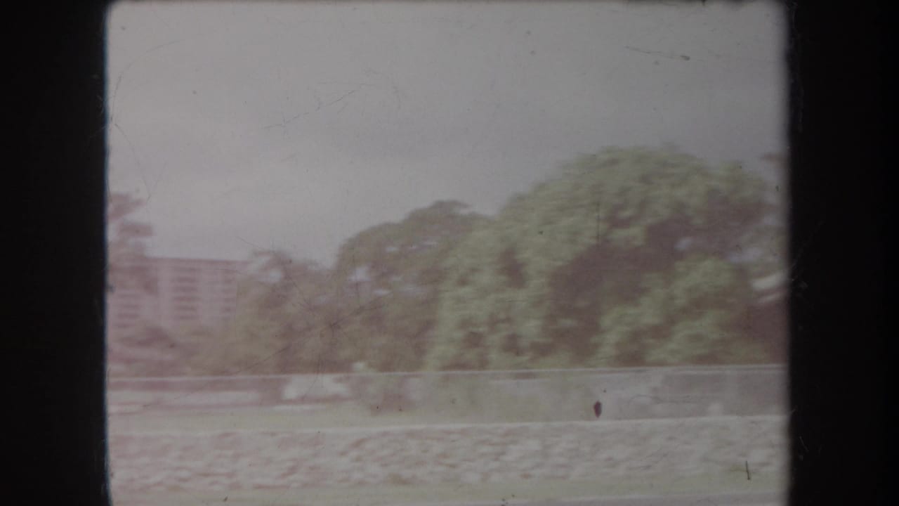 Trees, low wall, and distant buildings in a soft outdoor view.