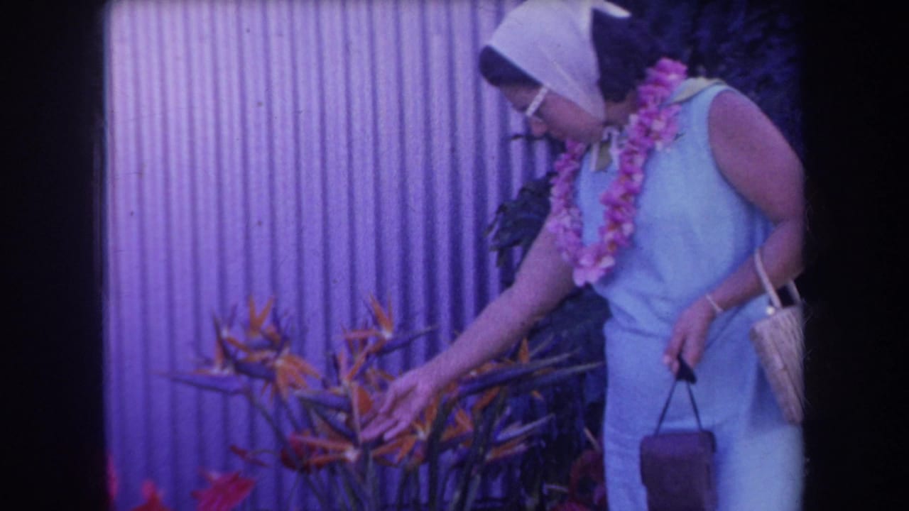 In 1969 Hawaii home-movie footage, a woman in a blue dress and pink lei bends toward orange tropical flowers by a purple wall.