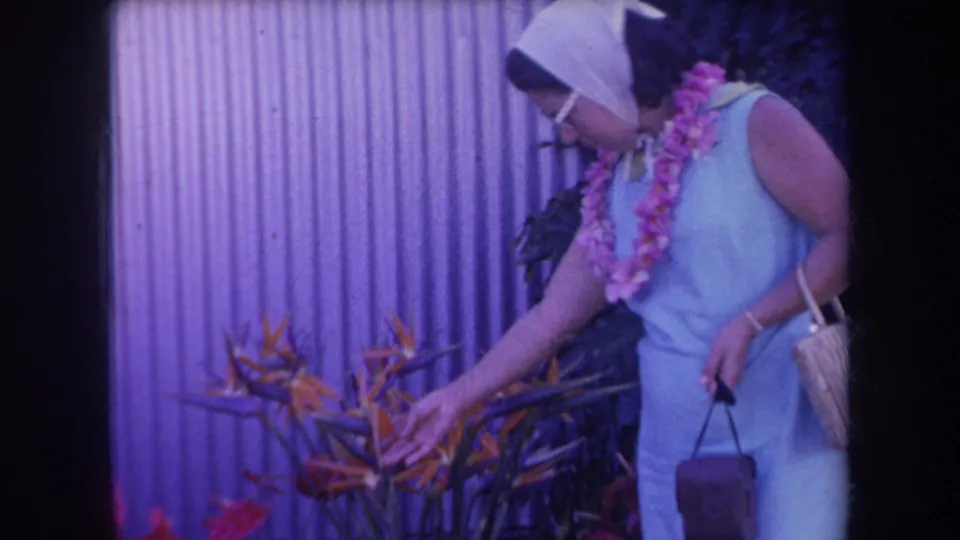In 1969 Hawaii home-movie footage, a woman in a blue dress and pink lei bends toward orange tropical flowers by a purple wall.