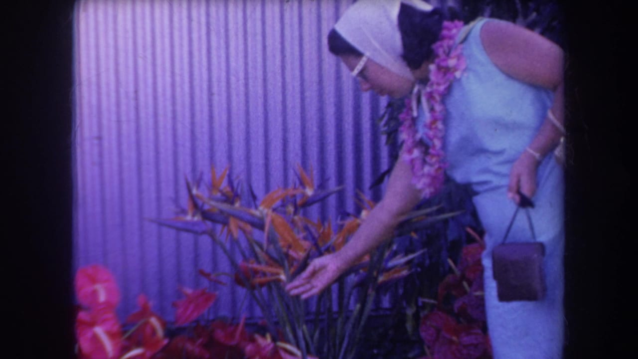 Woman wearing a lei extends her hand over tropical flowers near a purple wall.