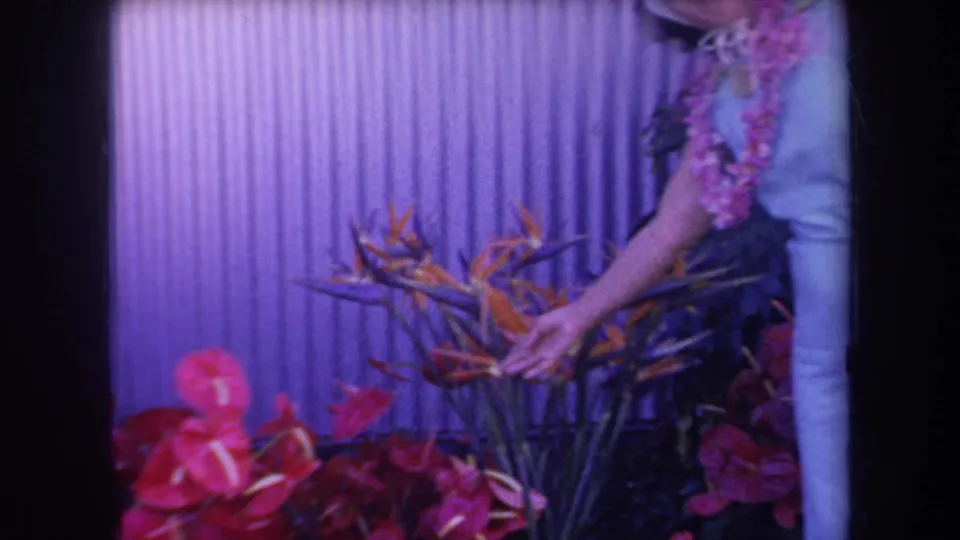 The 1969 Hawaii clip shows the woman partially framed as she touches orange flowers above red anthuriums.