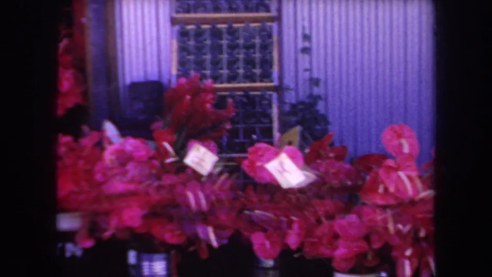 The final frame shifts to red anthuriums and foliage against a purple wall, with part of the flower display and building visible.