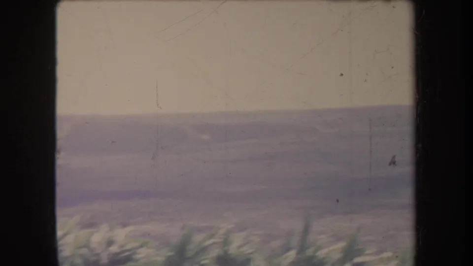 1969 Hawaii coastal home-movie view with open water, distant horizon, and blurred vegetation along the lower frame.