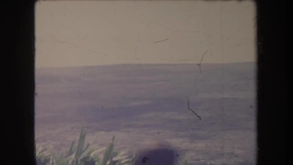Faded 8mm Hawaii vacation frame showing the ocean, distant horizon, and foreground coastal plants without people visible.