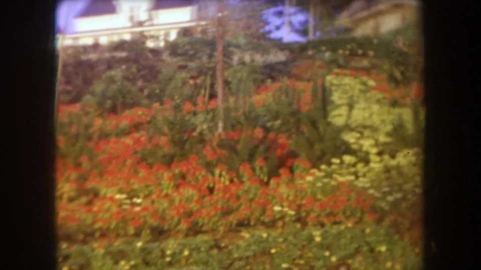 1969 Hawaii frame showing red and yellow flowering beds on a landscaped slope, with palms, shrubs, and a white house near the top.
