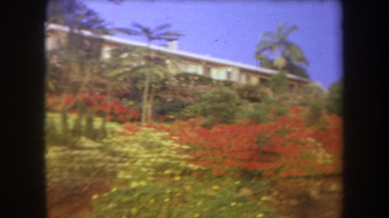 1969 Hawaii 8mm frame showing red and pale yellow flower beds on a hillside, with a white building and palms above.