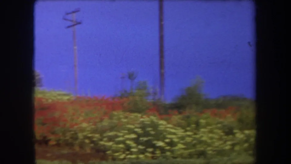 1969 Hawaii 8mm frame with red and pale flower beds across a hillside, utility poles, greenery, and clear blue sky.
