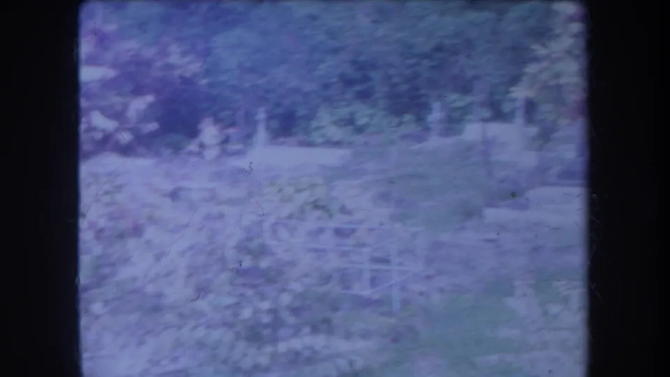 1969 Hawaii 8mm frame showing tropical garden vegetation, a pale open area, and soft wind-blown foliage.