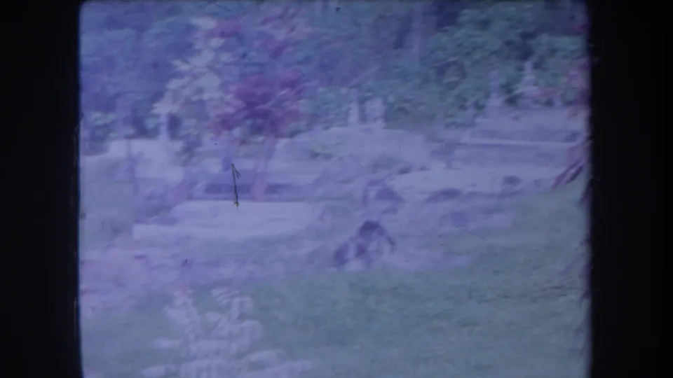 1969 Hawaii home-movie frame with trees, shrubs, and a pale garden clearing under a blue-purple 8mm color cast.