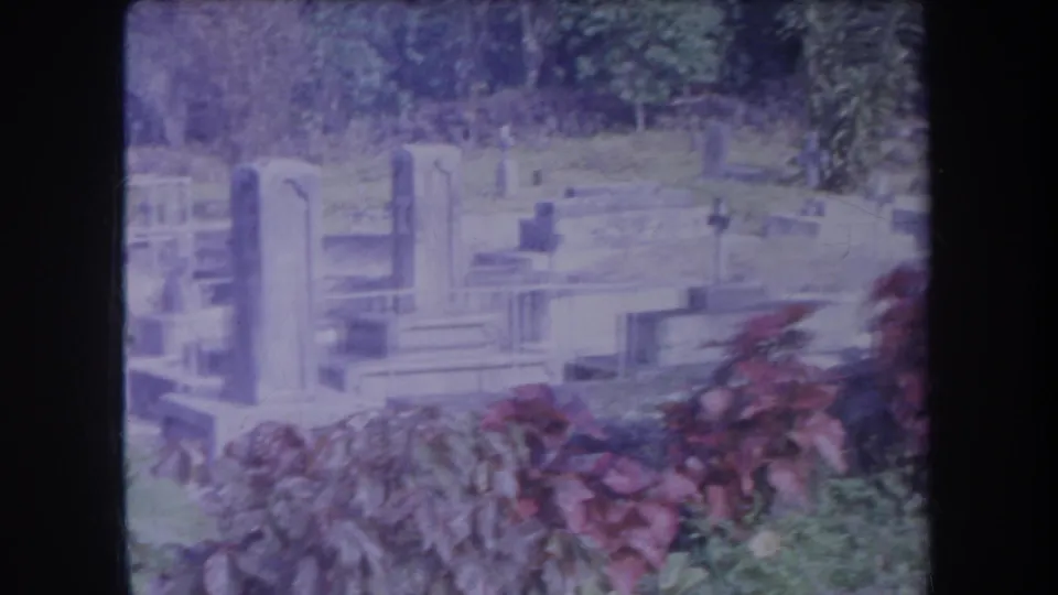 1969 Hawaii cemetery frame showing upright headstones, low grave markers, red foliage, grass, and shaded greenery in soft 8mm color.