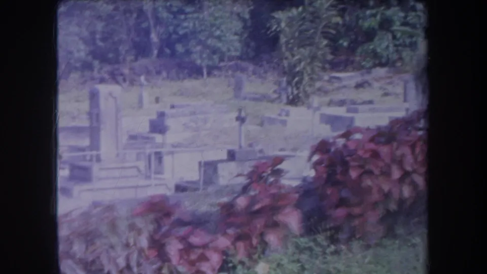 1969 Hawaii 8mm frame showing cemetery headstones beyond red-leafed shrubs and dense tropical trees.