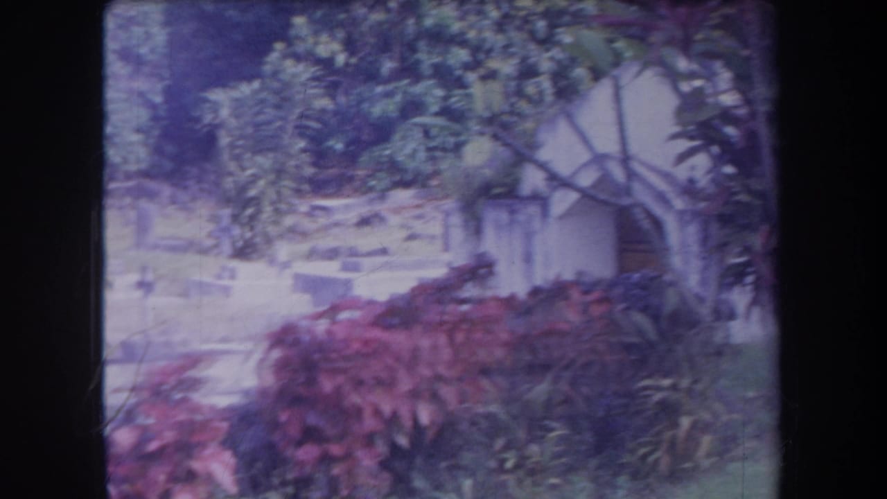 Cemetery grounds with red shrubs, trees, and a pale arched structure at right.