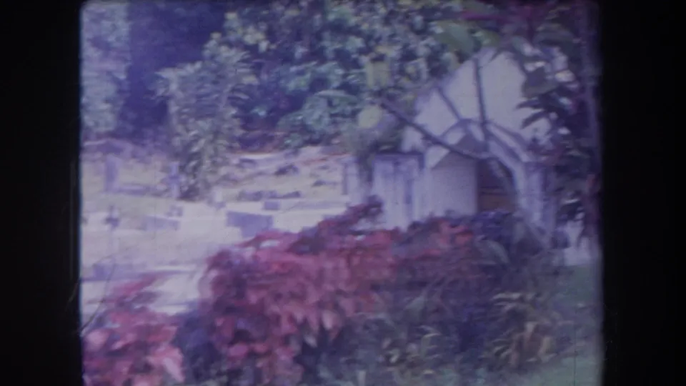 1969 Hawaii home-movie frame with cemetery markers, red shrubs, trees, and a pale arched cemetery structure partly hidden by foliage.