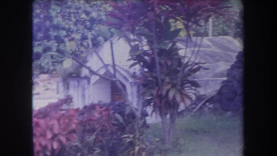 1969 Hawaii frame showing a white arched cemetery structure surrounded by tropical plants, with memorial markers in the background.