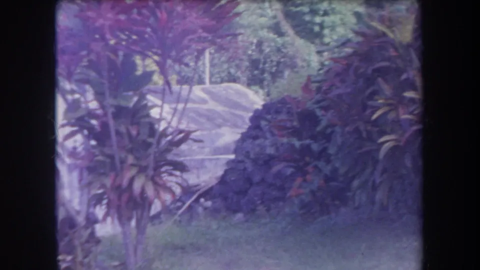 1969 Hawaii 8mm frame with tropical shrubs, trees, grass, cemetery markers, and a pale structure partly obscured by vegetation.
