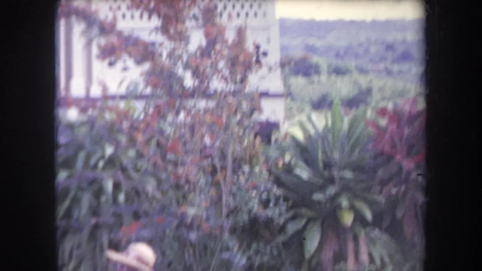 Soft 1969 Hawaii 8mm frame showing tropical foliage, flowering plants, a house edge, and a partly visible seated person in a hat.