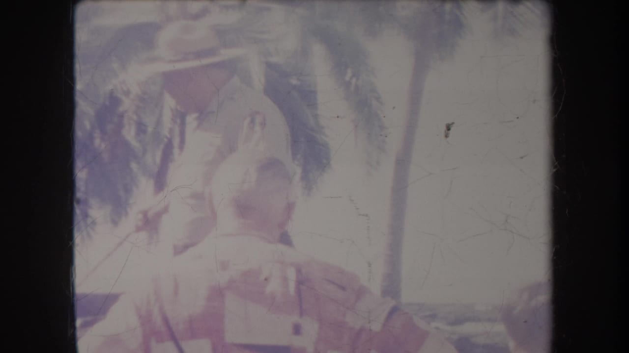Adults in bright sunlight beneath palm trees, one figure partly turned away.