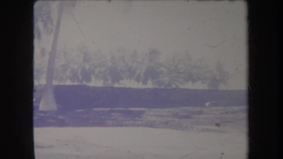 1969 Hawaii home-movie frame showing palm trees along a tropical shoreline, with a tall palm trunk and washed-out beach foreground.