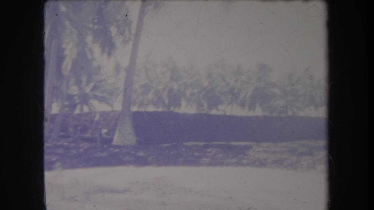 1969 Hawaii 8mm frame showing coconut palms near a bright sandy shoreline, with faded color and dark film borders.