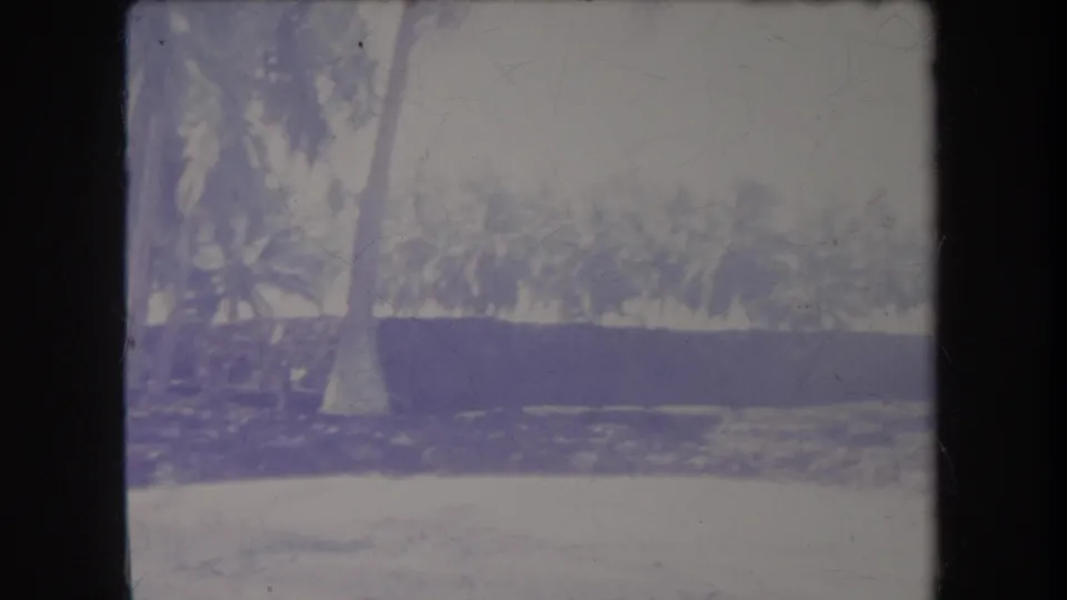 1969 Hawaii 8mm frame showing coconut palms near a bright sandy shoreline, with faded color and dark film borders.