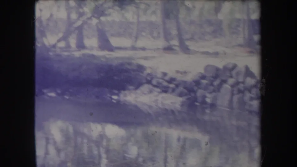1969 Hawaii 8mm frame showing a shaded water edge, tree reflections, foliage, and possible stones along the bank.