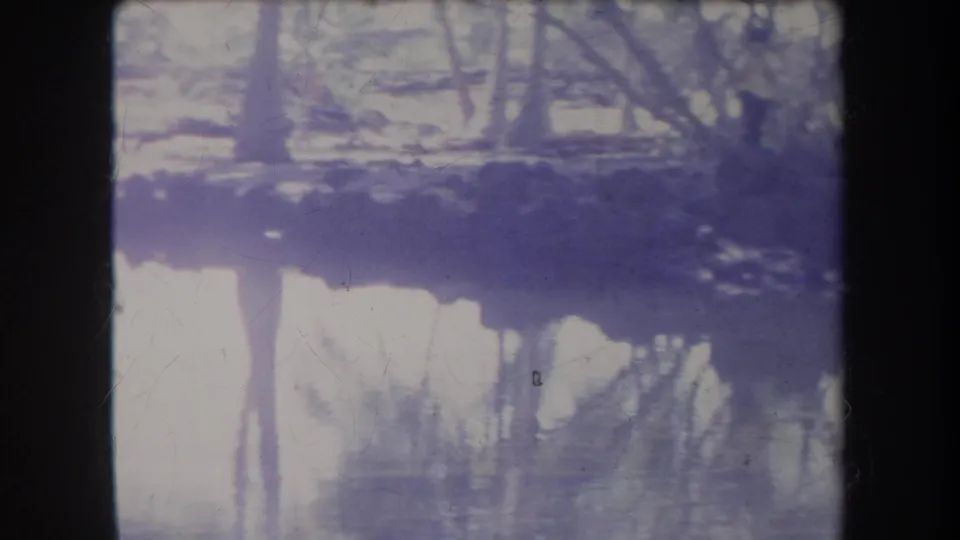 1969 Hawaii 8mm frame with still swamp water reflecting trees, bordered by dark film edges and soft purple color shift.