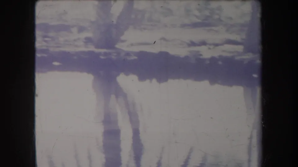 Soft 8mm view of reflected trees on bright swamp water in Hawaii, with dark scan borders and visible film wear.