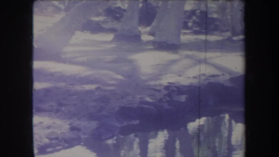 Hawaii 1969 8mm frame with pale reflected trunks, swampy water, dark border edges, scratches, and uneven exposure.