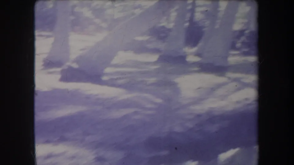 1969 Hawaii 8mm frame showing shadowed tree trunks and water reflections through a heavy purple color cast.