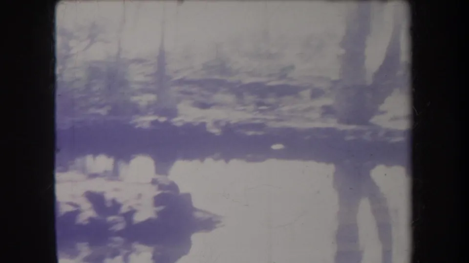 1969 Hawaii 8mm frame with overexposed water reflections and tree shapes in a swamp-like setting.