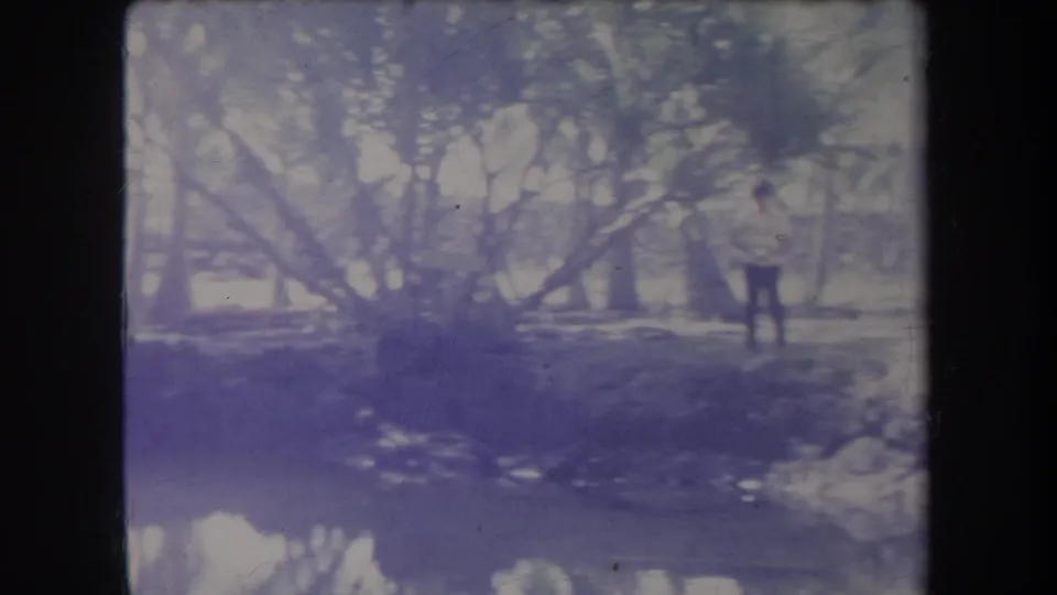 1969 Hawaii 8mm frame of a swamp-like tree line and water, with a distant person visible near the right edge.