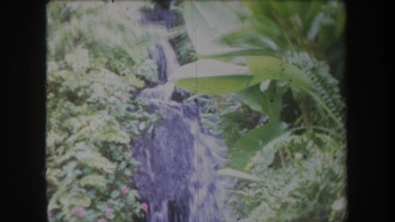 1969 Hawaii 8mm frame showing a narrow waterfall partly hidden by lush foliage and pink flowers.