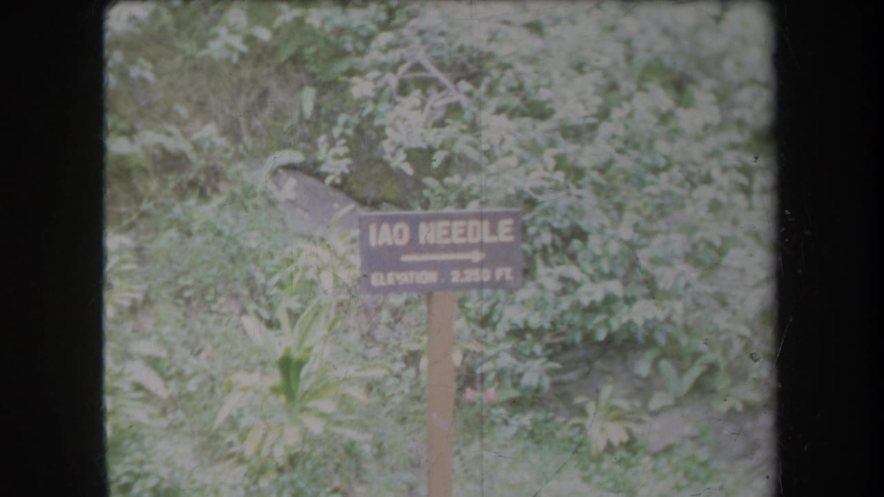 1969 Hawaii 8mm frame with a wooden Iao Needle directional sign set among tropical vegetation.