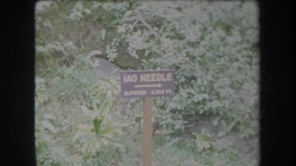 1969 Hawaii 8mm frame with a wooden Iao Needle directional sign set among tropical vegetation.