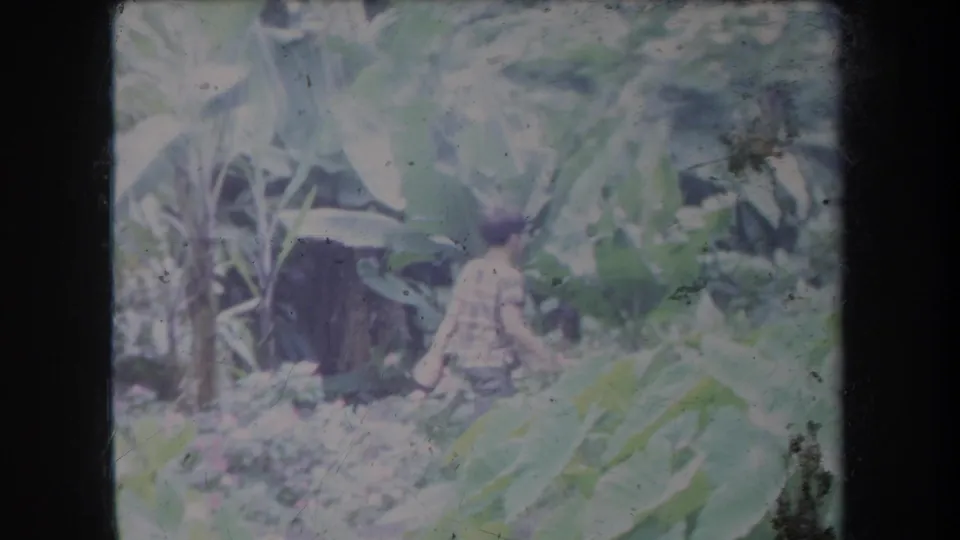 1969 Hawaii 8mm frame with a partly obscured person in a plaid shirt walking or standing among jungle plants.
