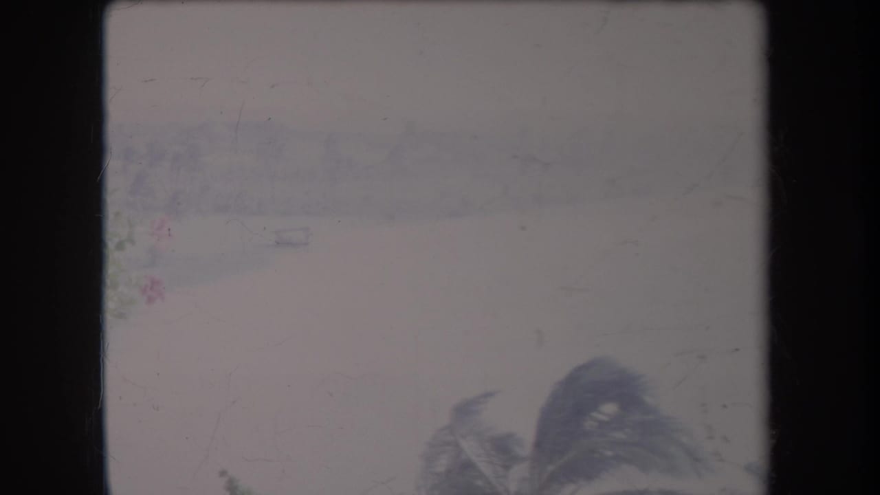 1969 Hawaii 8mm home-movie frame showing wind-blown palm fronds low in the frame beneath a washed pale sky.