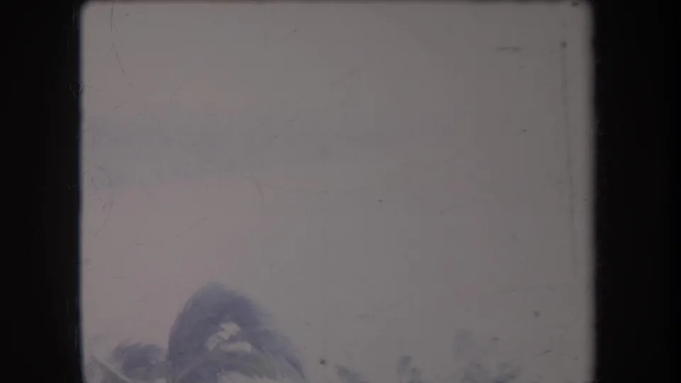 1969 Hawaii home-movie frame with faint palm foliage along the lower edge and a bright, faded sky filling most of the view.