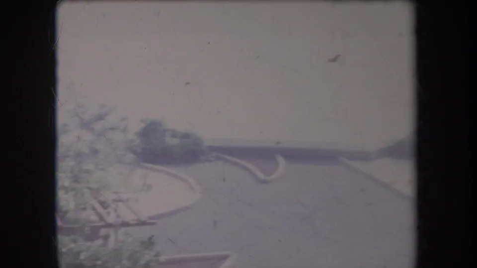 1969 Hawaii home-movie frame showing a windy coastal view with palm foliage, low vegetation, a shoreline edge, and distant water.