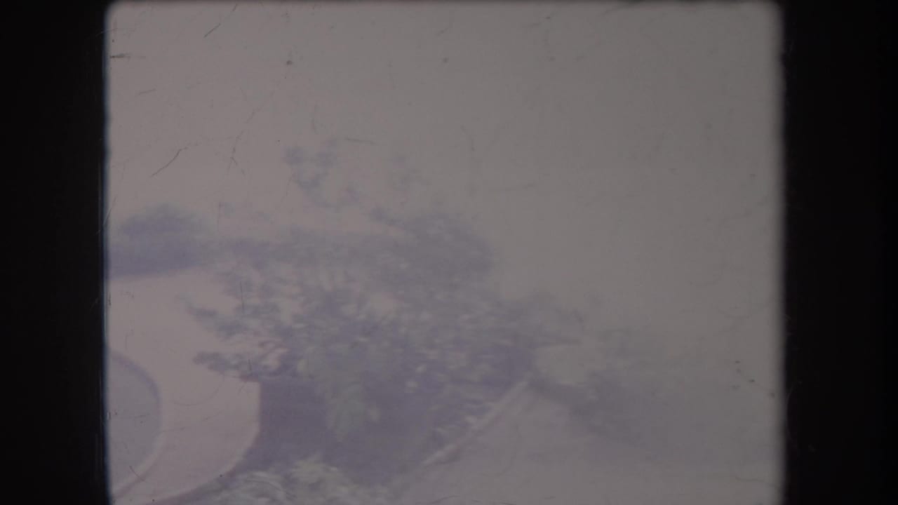 Faded 1969 Hawaii home-movie frame with dense tropical trees beside a curving roadside.