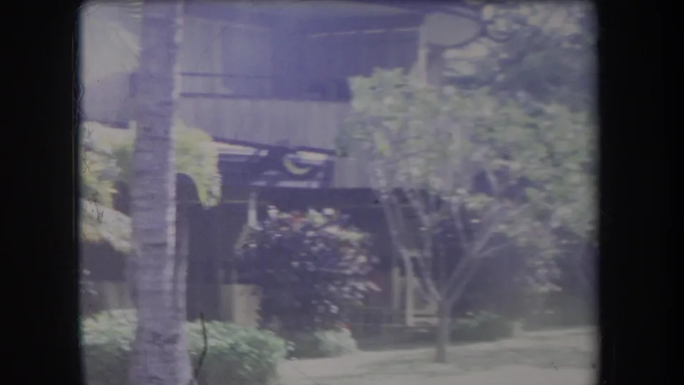 1969 Hawaii 8mm frame with a palm trunk, flowering bushes, shrubs, lawn, and a covered porch in soft vintage color.