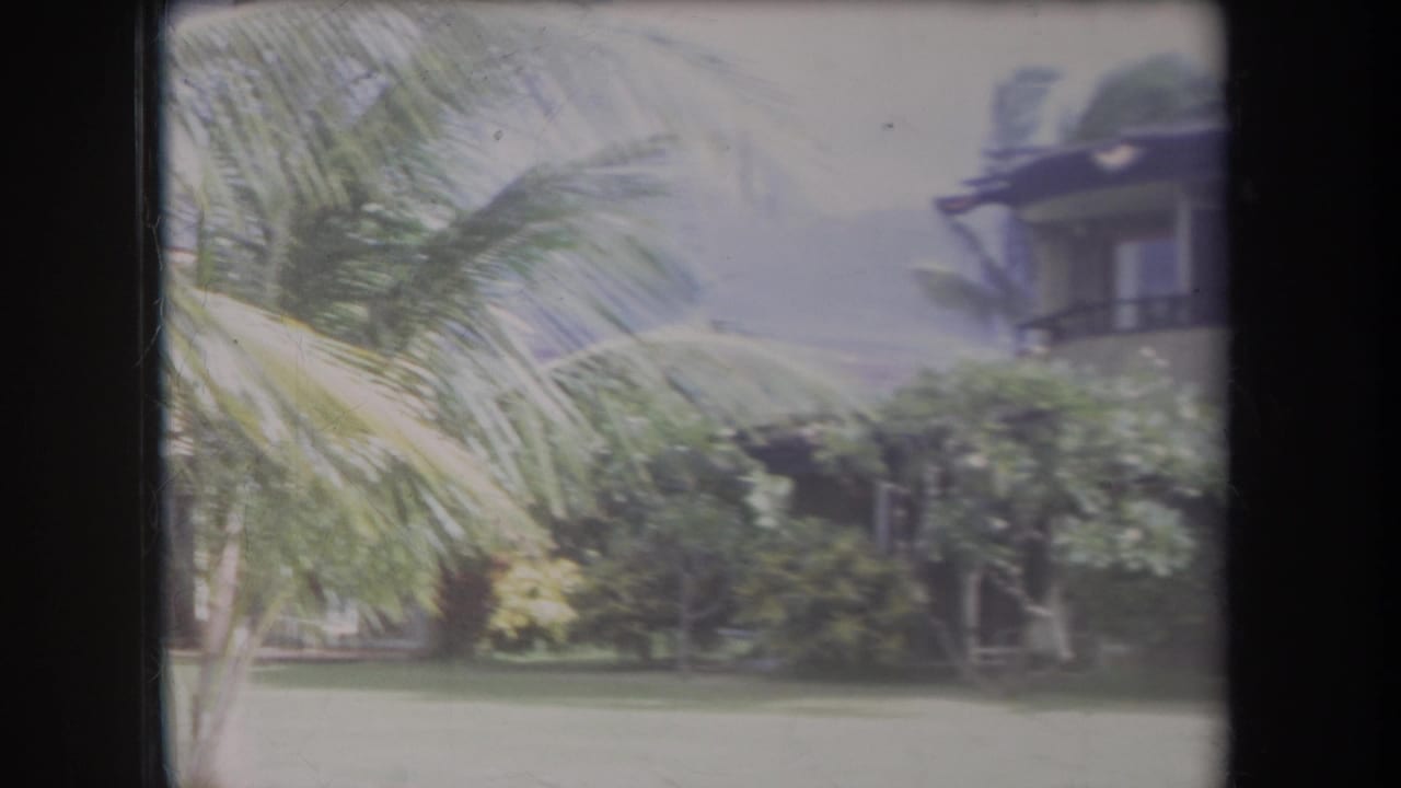 1969 Hawaii home-movie frame showing palm fronds, lawn, shrubs, and a low-rise residential building in bright daylight.