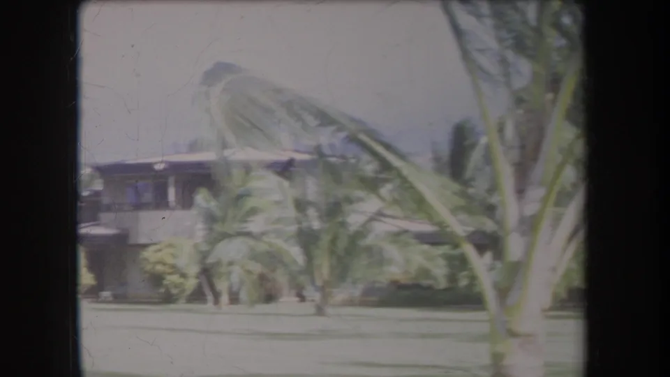 1969 Hawaii home-movie view of a palm trunk and fronds in front of a low-rise building and landscaped lawn.