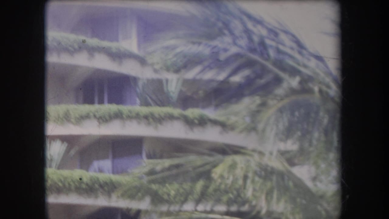 1969 Hawaii 8mm frame showing a curved-balcony building partly obscured by wind-blown palm fronds and soft film blur.