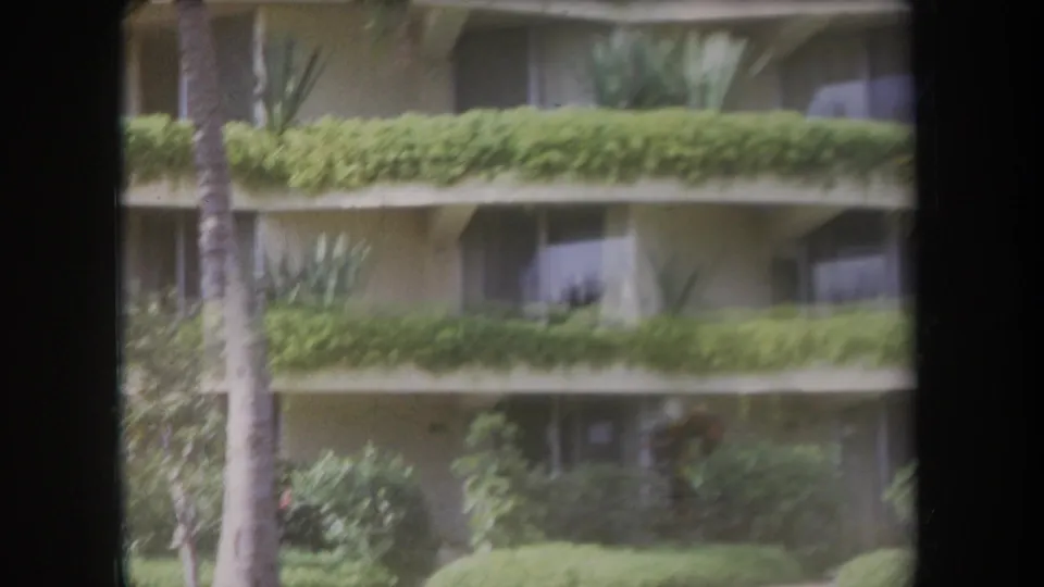 1969 Hawaii 8mm frame with a palm trunk, dense balcony vegetation, shaded windows, and lawn near a curved-balcony building.