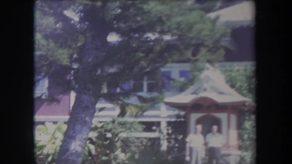 1969 Hawaii garden scene with a leaning tree, house exterior, gazebo, and two distant people standing in light clothing.