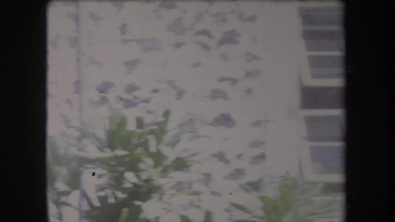 1969 Hawaii home-movie frame showing a weathered cement apartment wall, small window, and leafy plants in bright sunlight.